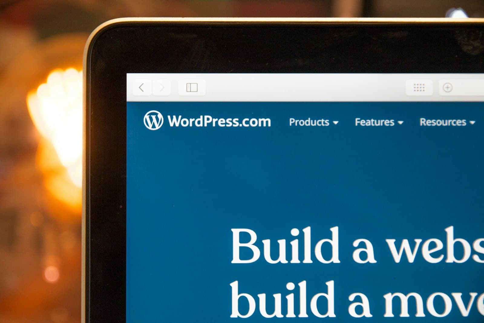 Developer working on a WordPress website
